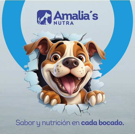 aalias nutra movil