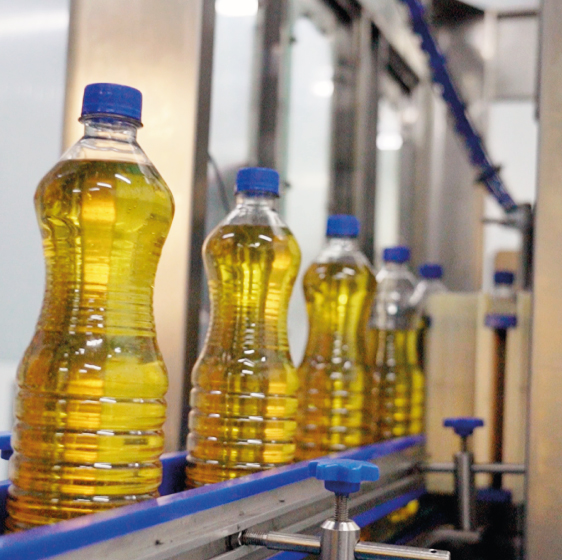Linea de aceite Amalia