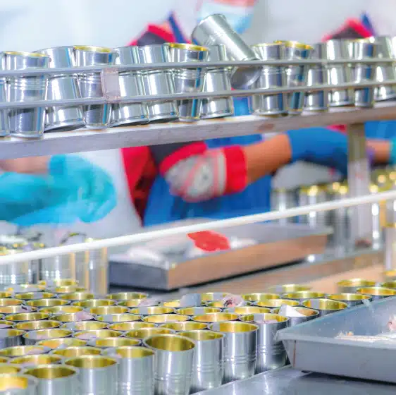 línea de producción Goodmarcom